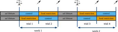 Frontiers | Food Restriction Reveals Individual Differences in 